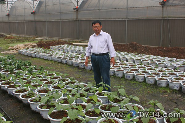 中國衡陽新聞網(wǎng) m.gdaosheng.com