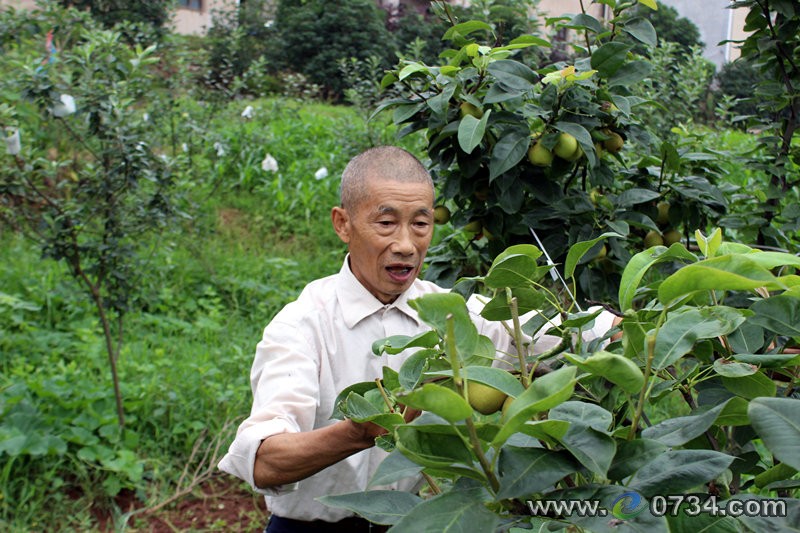 中國(guó)衡陽(yáng)新聞網(wǎng) m.gdaosheng.com