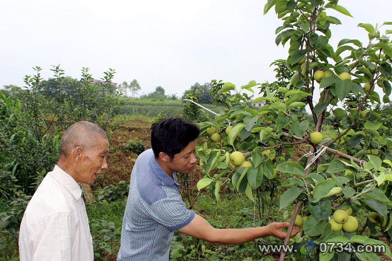 中國(guó)衡陽(yáng)新聞網(wǎng) m.gdaosheng.com